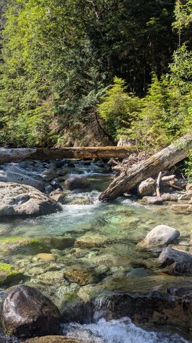 Bear Creek (NF Skykomish River)-20250711223017 pic.jpg