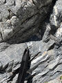 Thumbnail for version as of 13:17, 23 September 2023