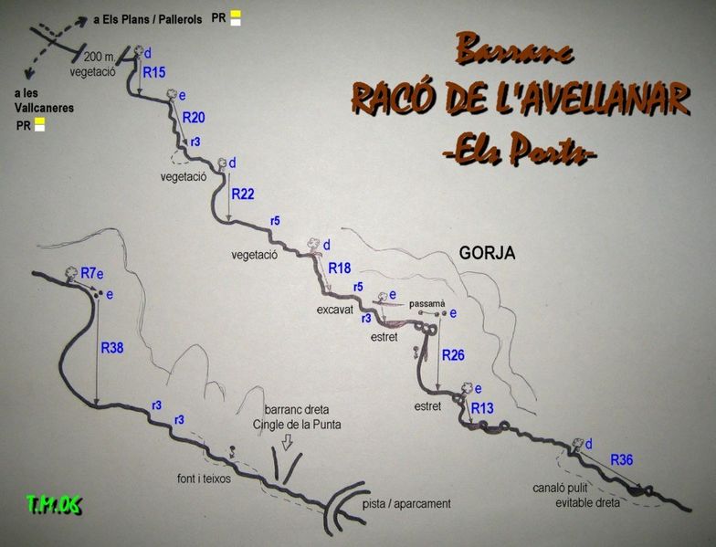 File:Paginas barrancos barranc del raco del avellanar.jpg