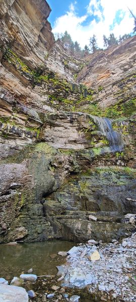 File:Parachute Creek (East Fork) pic8.jpg