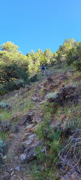 File:Pool Creek (Dinosaur) pic16.jpg