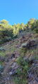 Thumbnail for version as of 02:06, 27 June 2023
