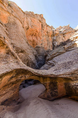 Rotary Dial Canyon Banner.jpg