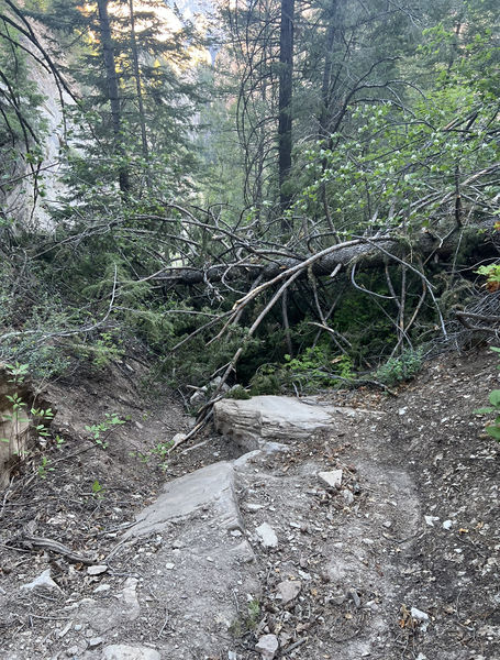 File:FILE-20220518015249.jpg