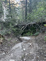 Thumbnail for version as of 01:56, 18 May 2022