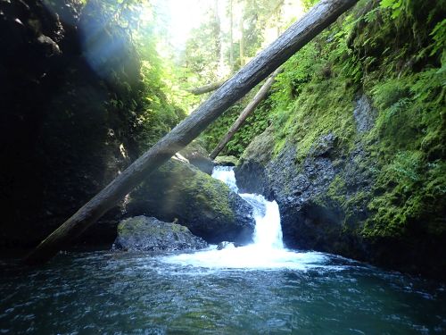LeBar Creek-20210627222825 pic.jpg