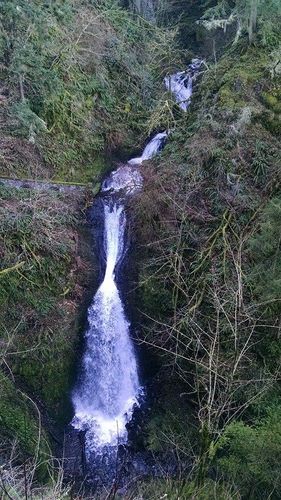 Young Creek-20220117152010 pic.jpg