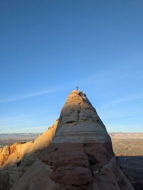 Bush Action Banner.jpg