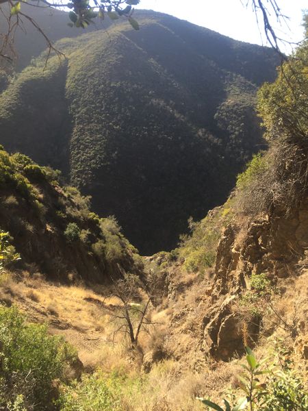 File:Flores Peak C4 img7005.jpg
