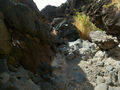 Thumbnail for version as of 16:05, 6 December 2021