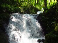 Little Woodward Creek-20170619012330 pic.jpg