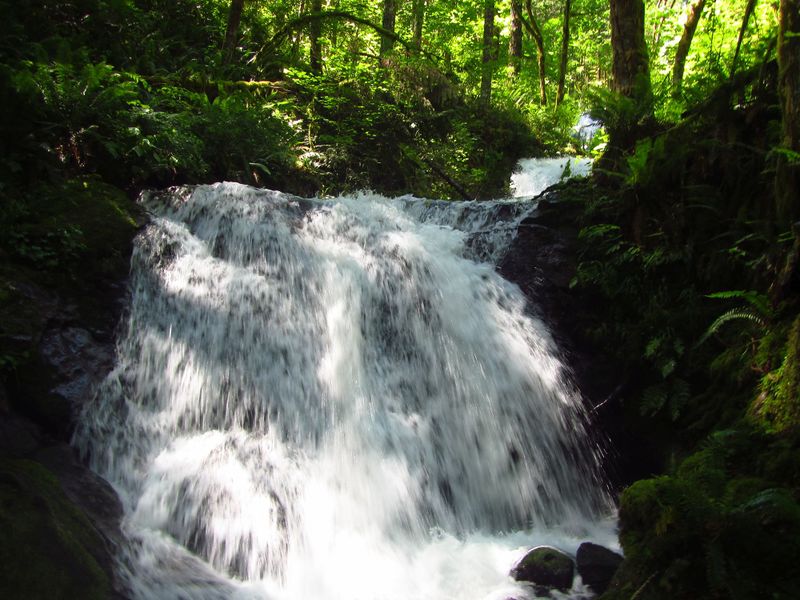 File:Little Woodward Creek-20170619012330 pic.jpg