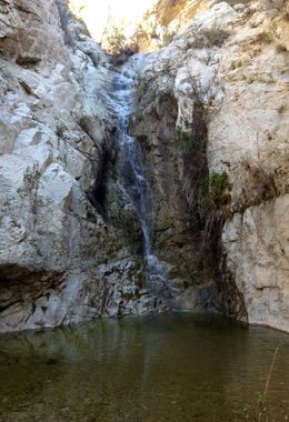 Vogel Canyon (Anicca Fork) Banner.jpg