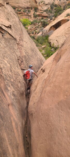 File:Knee Canyon (North) pic007.jpg