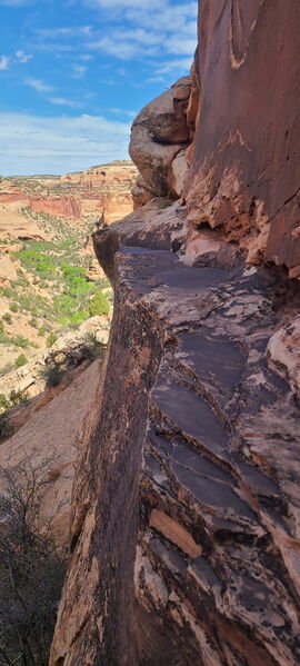 File:Knee Canyon (South) pic016.jpg