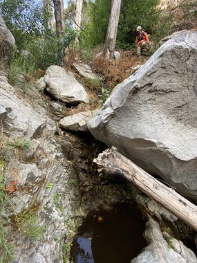 BMX Canyon Banner.jpg