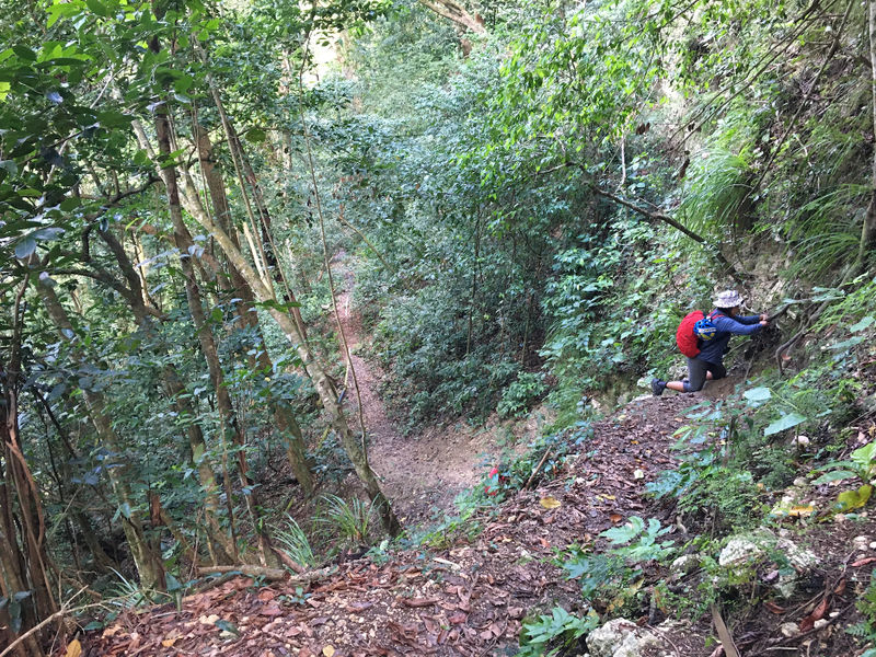 File:La Rejoya Canyon after.jpg