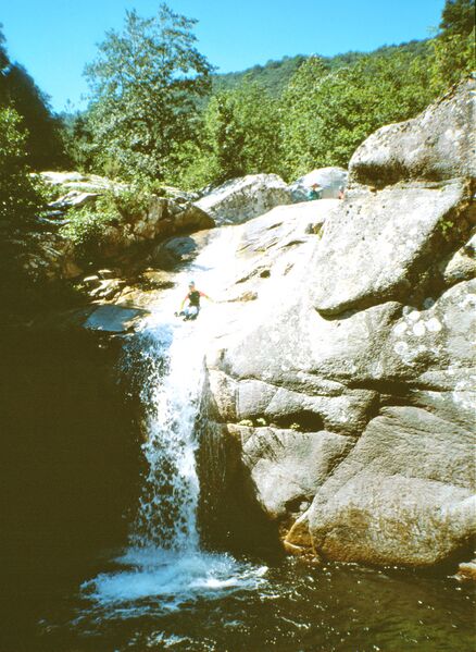 File:Lama Banner.jpg