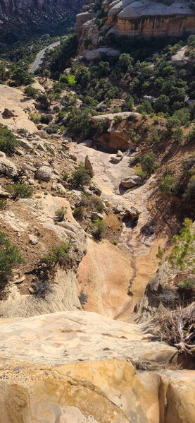 File:Rimrock Canyon pic004.jpg