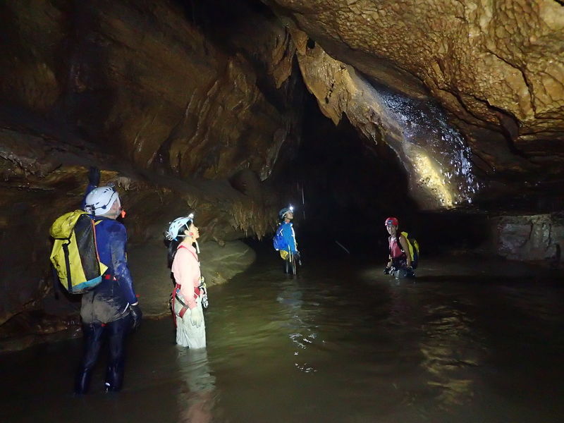 File:Cueva Ejidal Banner.jpg