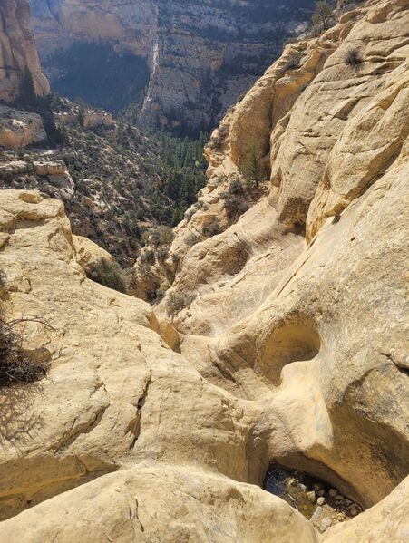 File:West Labyrinth (Dinosaur) potholes.jpg