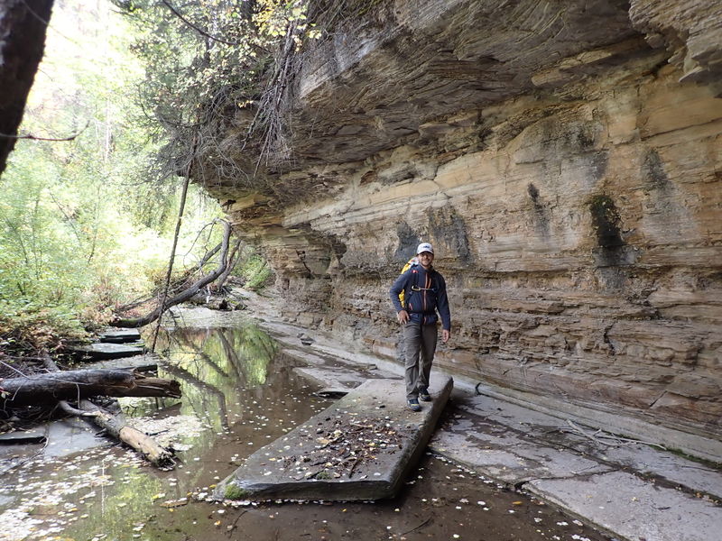 File:Parachute Creek (East Fork) pic4.jpg