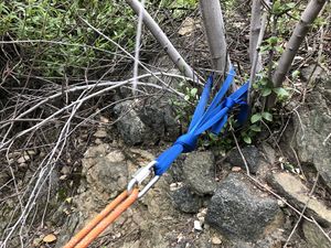 Pine Canyon SG New Anchor 1.jpg
