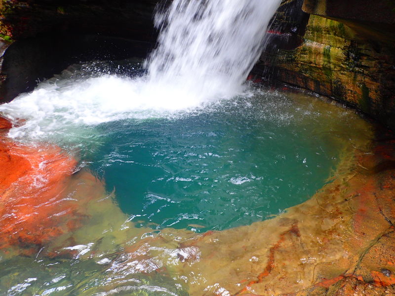 File:South Fork Mineral Creek (Lower) SForkMinLow009.jpg