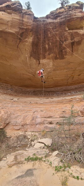 File:Knee Canyon (North) pic005.jpg