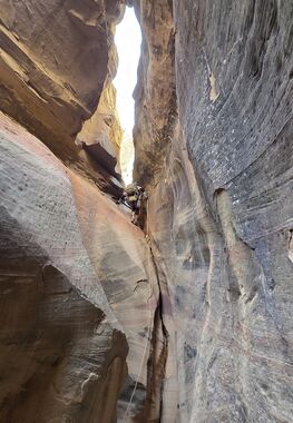 Mee Stone King Banner.jpg