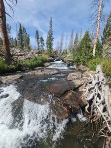 Norris Creek pic005.jpg