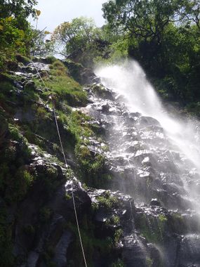 Barranca de San Martin Banner.jpg