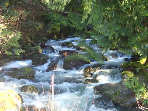 Duncan Creek-20170420023514 pic.jpg