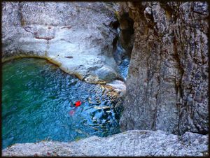 Garnitzenklamm - Garnitzenbach (inferiore)10.jpg