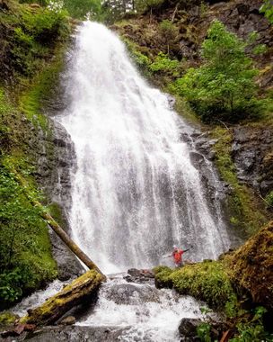 Panther Creek (Oregon) Banner.jpg