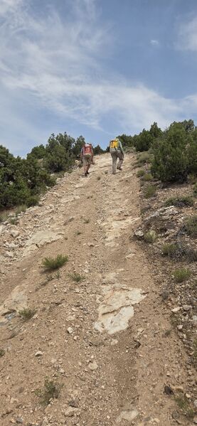 File:Spur Canyon pic023.jpg