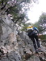 Thumbnail for version as of 06:34, 4 December 2014