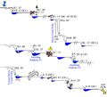 Thumbnail for version as of 06:50, 19 June 2025