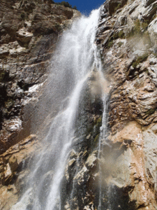 FILE-20140828011151.gif