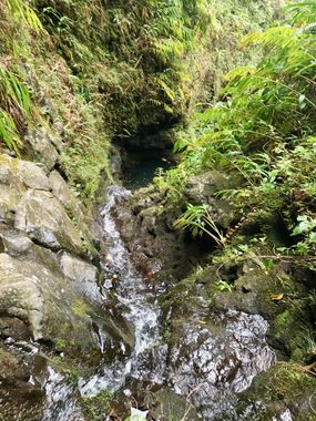 T5 Canyon (Honomanu Stream) Banner.jpg