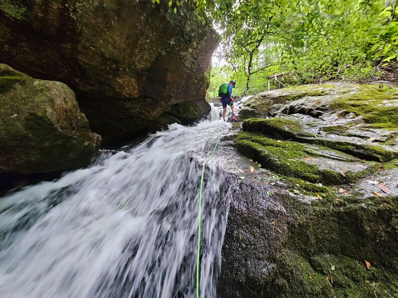 File:Tough Hill Branch R7-1.jpg