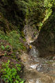 Thumbnail for version as of 00:59, 13 March 2017