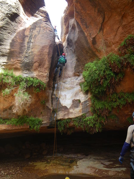 File:26786457097 5e50e8d7bb o.jpg