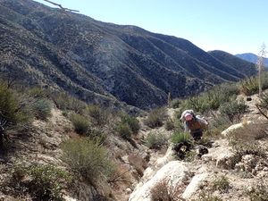 White Ghost Canyon pics.jpg