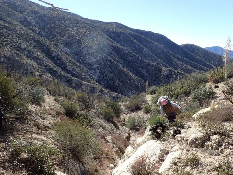 File:White Ghost Canyon pics.jpg