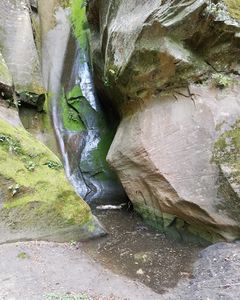 FILE-20180825040326.jpg