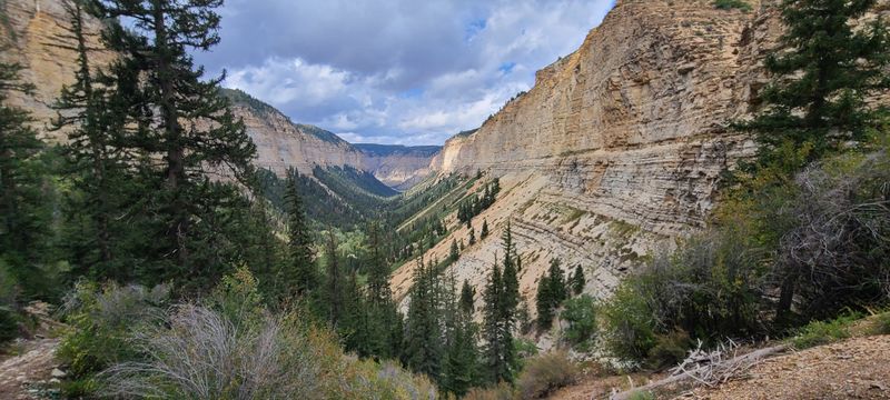 File:Parachute Creek (East Fork) pic32.jpg
