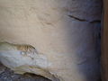 Thumbnail for version as of 11:12, 18 October 2022
