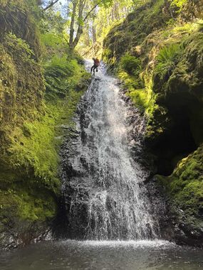 Spencer Creek Banner.jpg