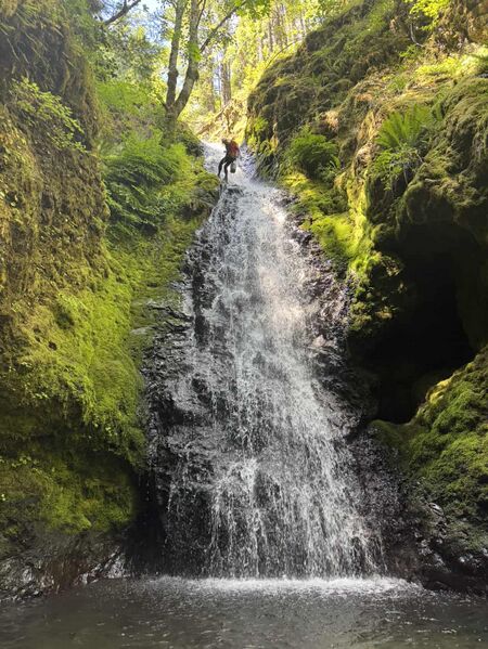 File:Spencer Creek Banner.jpg